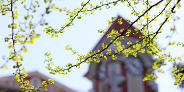 一飞冲天300倍游戏(中国游)·官方网站