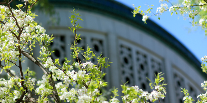 一飞冲天300倍游戏(中国游)·官方网站