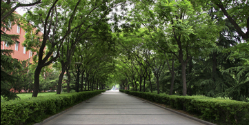 一飞冲天300倍游戏(中国游)·官方网站