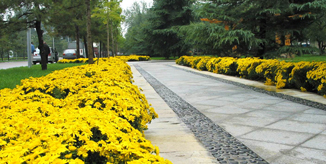 一飞冲天300倍游戏(中国游)·官方网站