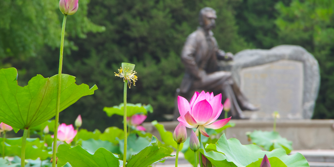 一飞冲天300倍游戏(中国游)·官方网站