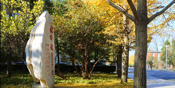 一飞冲天300倍游戏(中国游)·官方网站