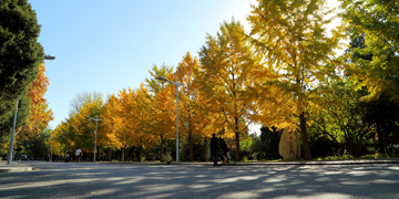 一飞冲天300倍游戏(中国游)·官方网站