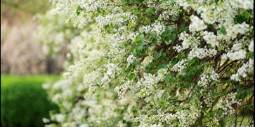 一飞冲天300倍游戏(中国游)·官方网站