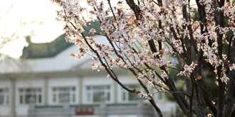 一飞冲天300倍游戏(中国游)·官方网站