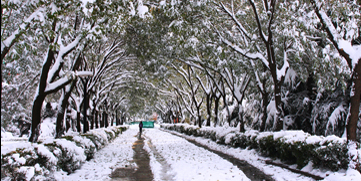 一飞冲天300倍游戏(中国游)·官方网站