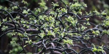 一飞冲天300倍游戏(中国游)·官方网站