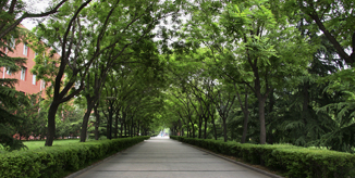 一飞冲天300倍游戏(中国游)·官方网站