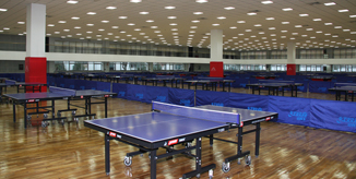 一飞冲天300倍游戏(中国游)·官方网站