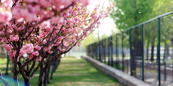 一飞冲天300倍游戏(中国游)·官方网站