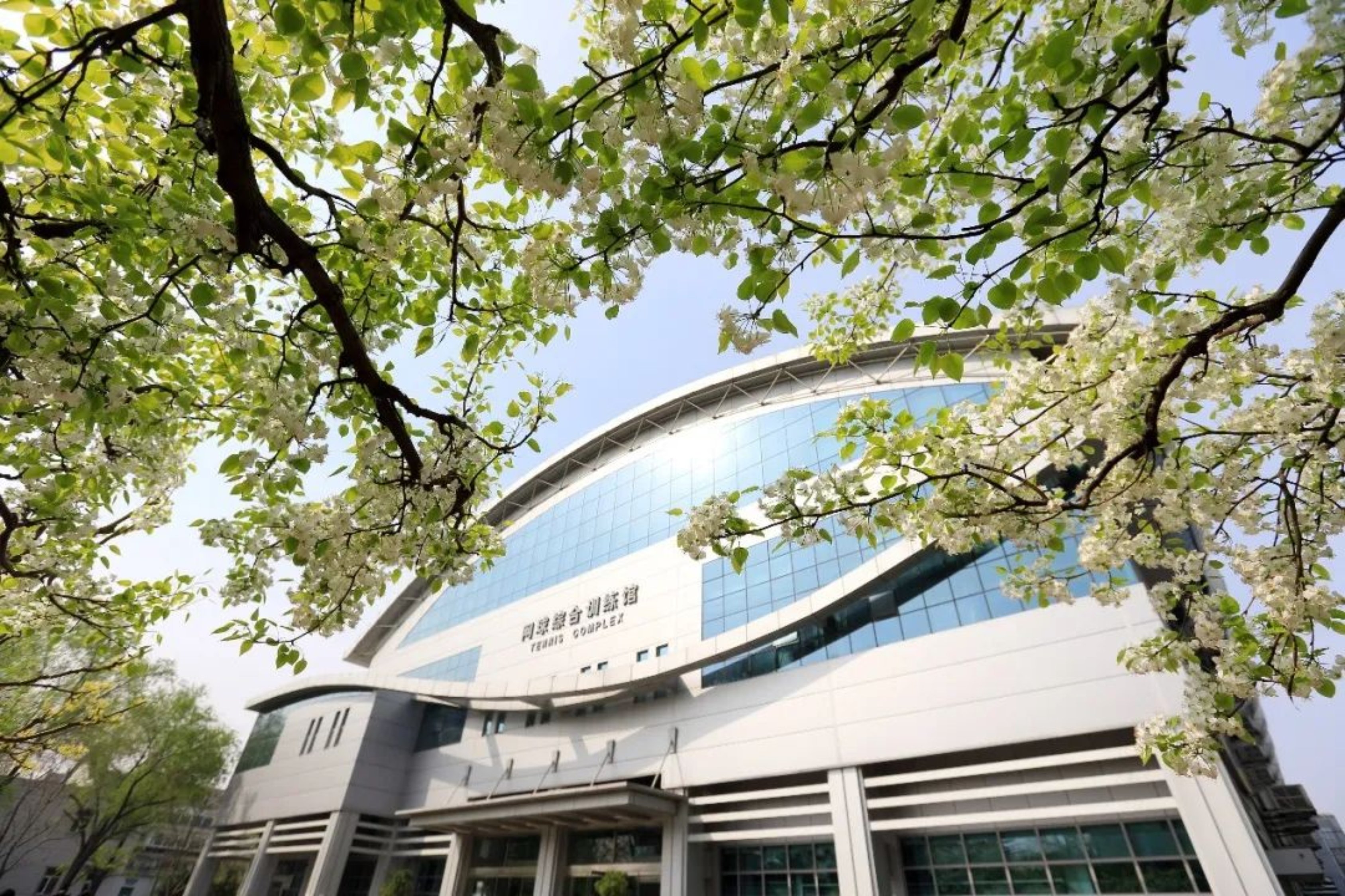 一飞冲天300倍游戏(中国游)·官方网站