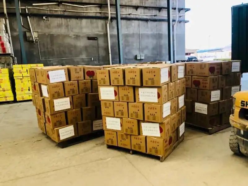 一飞冲天300倍游戏(中国游)·官方网站