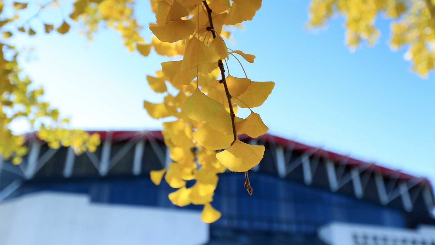 一飞冲天300倍游戏(中国游)·官方网站