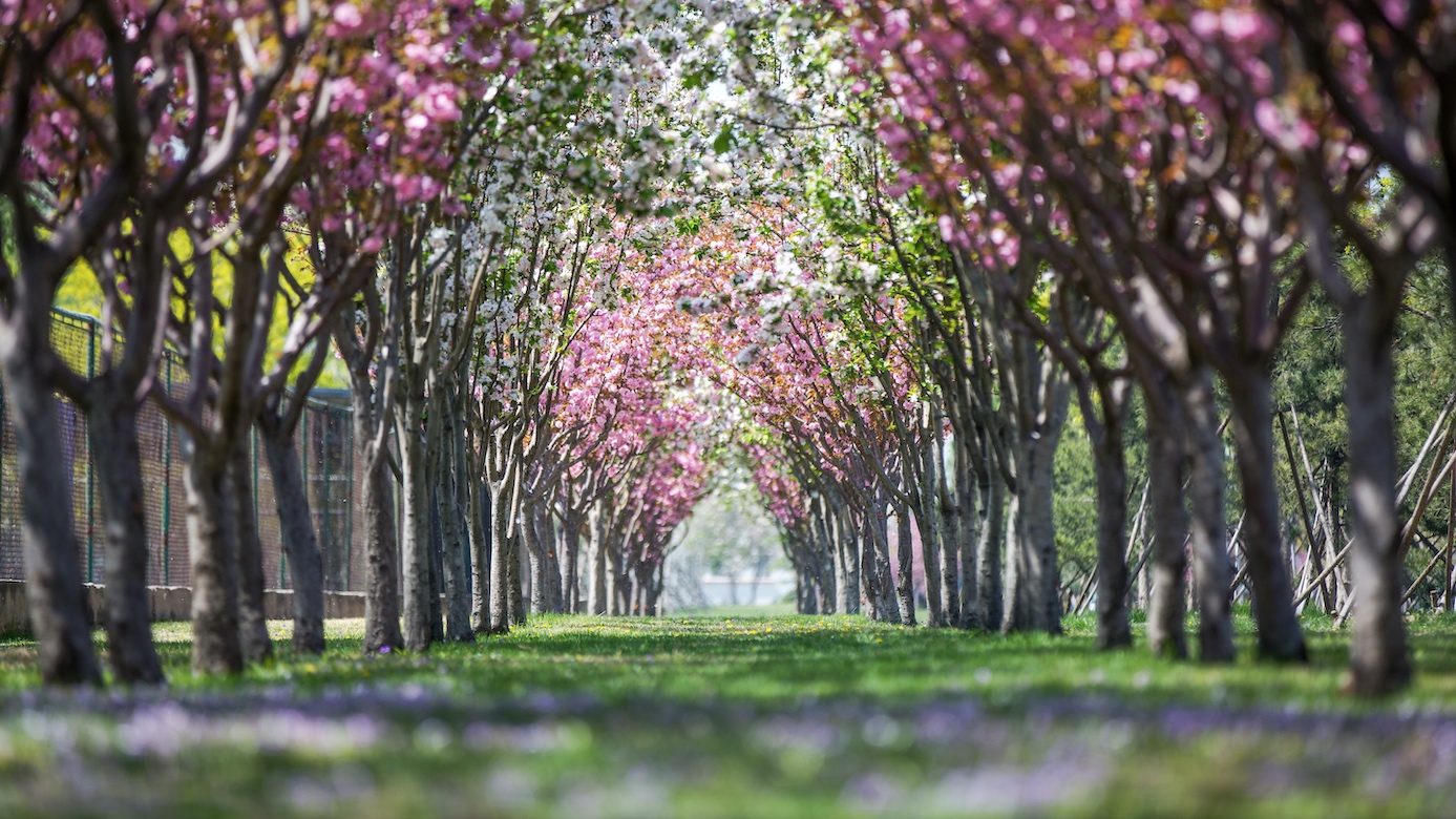 一飞冲天300倍游戏(中国游)·官方网站