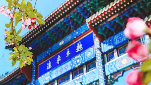 一飞冲天300倍游戏(中国游)·官方网站