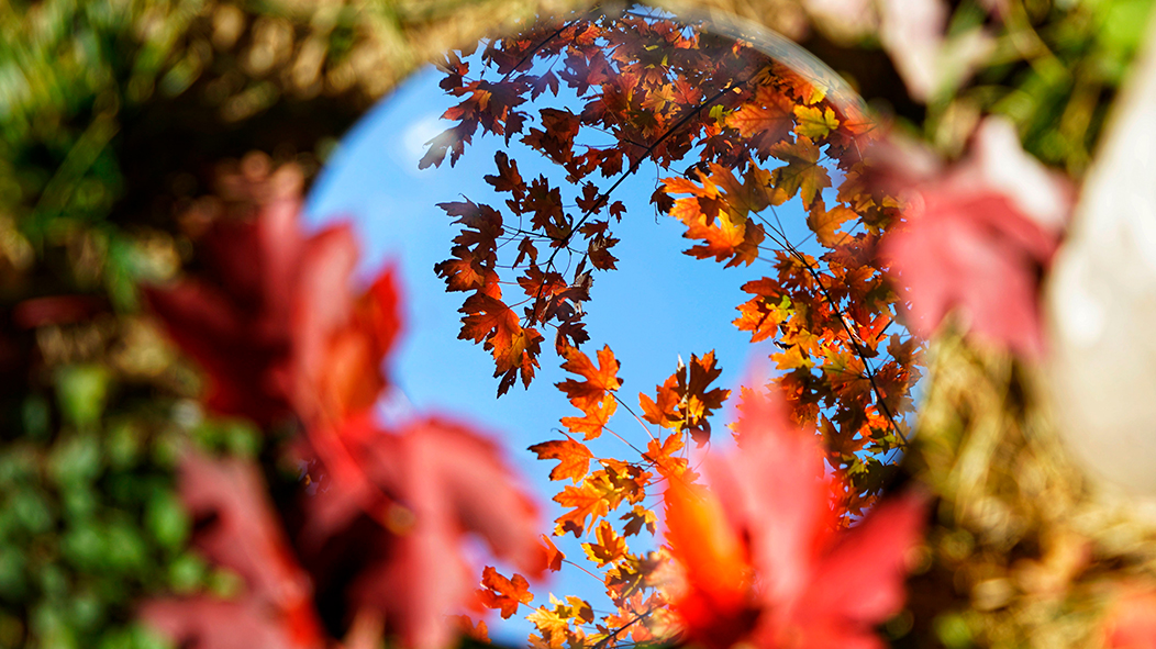 一飞冲天300倍游戏(中国游)·官方网站