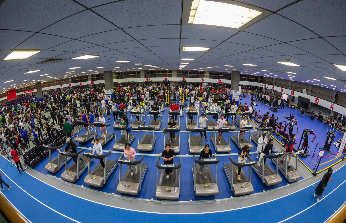 一飞冲天300倍游戏(中国游)·官方网站