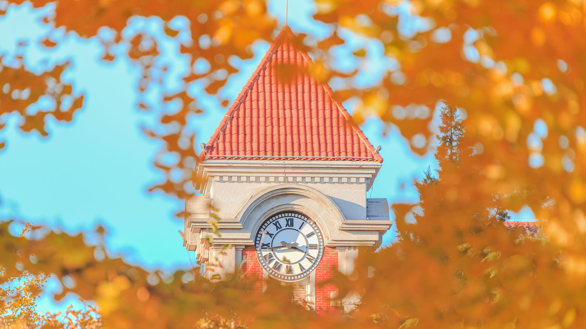 一飞冲天300倍游戏(中国游)·官方网站