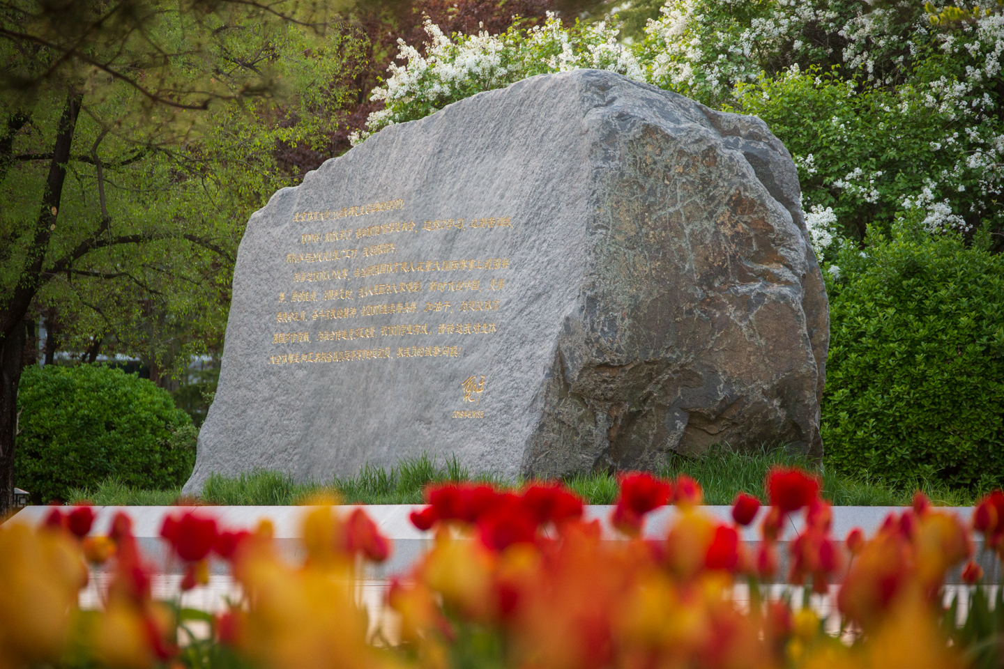 一飞冲天300倍游戏(中国游)·官方网站