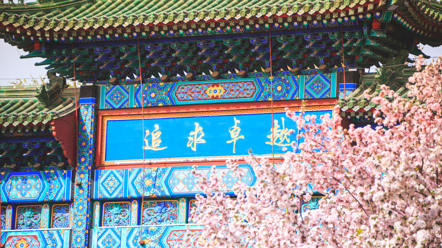 一飞冲天300倍游戏(中国游)·官方网站