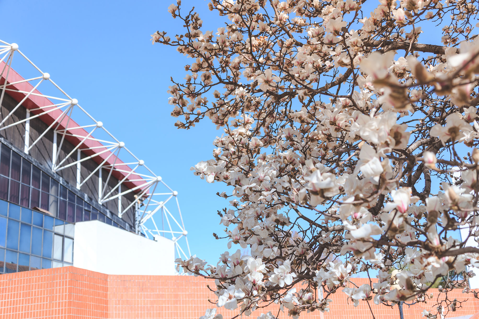 一飞冲天300倍游戏(中国游)·官方网站