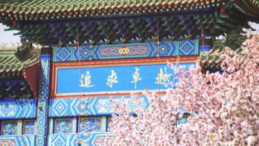 一飞冲天300倍游戏(中国游)·官方网站